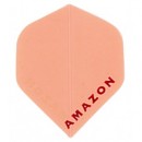 Amazon Flight 12-18
