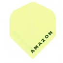 Amazon Flight 12-19