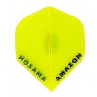 Amazon Flight 12-24