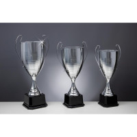 Pokal 56650 silber