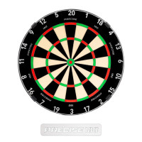 Dartboard Precise180 Endorphine - Gunmetal