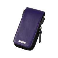 Cameo Palette violet