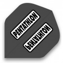 Pentathlon Flight 09-12