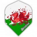Designa Flight 08-05 Wales